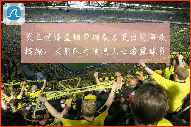 莫兰特膝盖韧带撕裂后复出时间表模糊，灰熊队内消息人士透露球员要求推迟回归